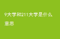 9ѧ211ѧʲô˼