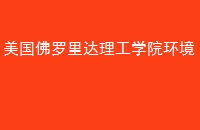 ѧԺ