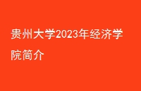 ݴѧ2023꾭ѧԺ