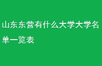 ɽӪʲôѧѧһ